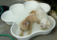 dogpools.shop One Dog One Bone  White  Paw Pool