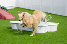 dogpools.shop One Dog One Bone  White  Bone Pool